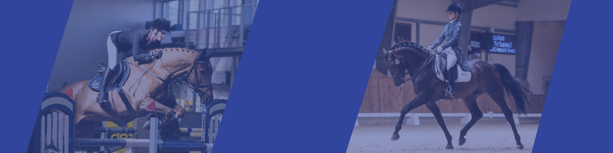 Szkolenia dofinansowane przez MZJ