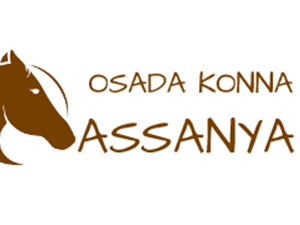 Aktualizacja propozycji KJ Assanya