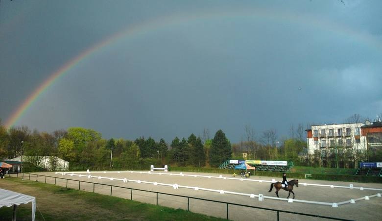 Odwołane ZR i ZT w ujeżdżeniu w dniu 20.08.2017