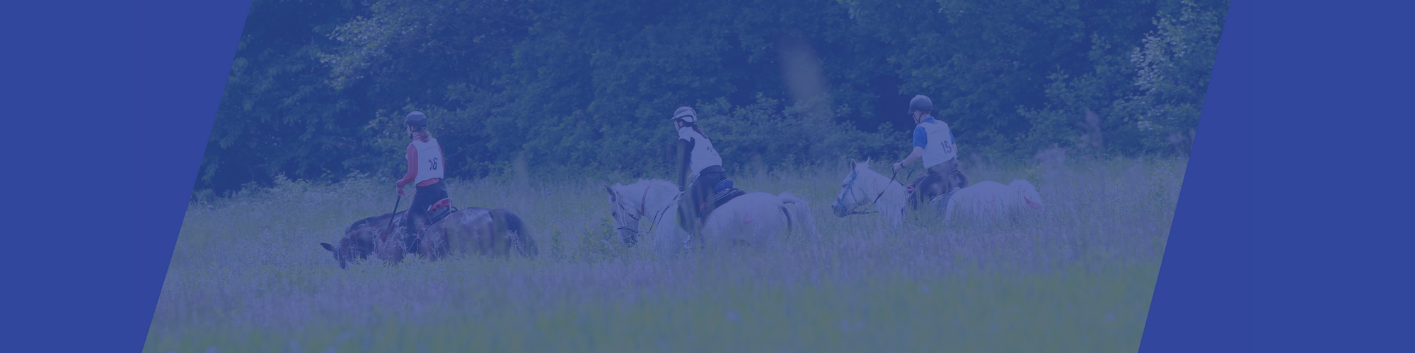 Mistrzostwa Małopolski w Sportowych Rajdach Konnych