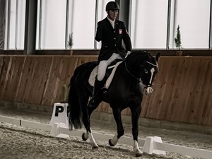 CPEDI 3* Kralovice