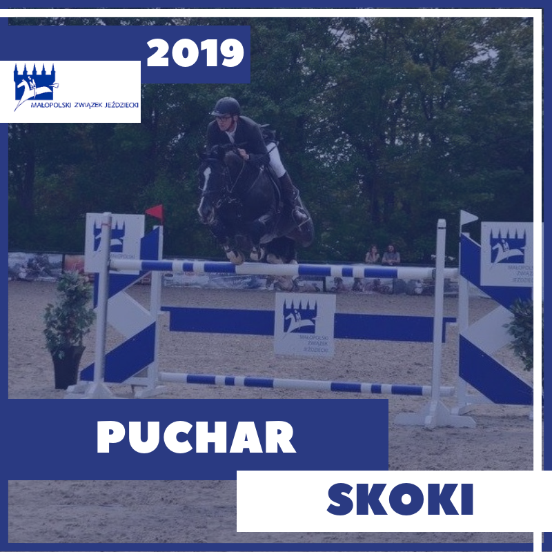 Końcowa klasyfikacja Pucharu Małopolski w skokach 2019