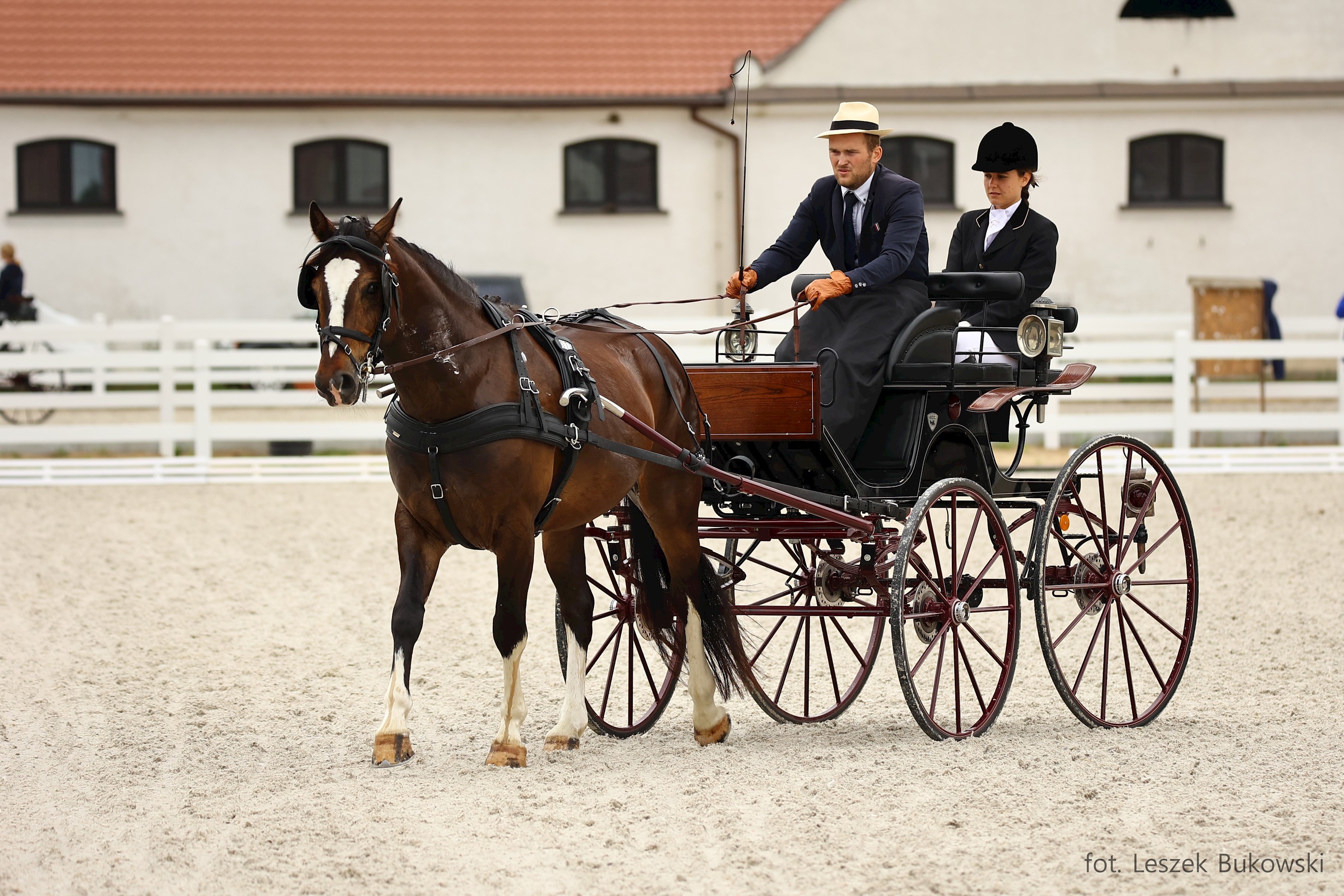 Powożenie wraca na małopolskie Hipodromy - sukcesy zawodnika z Podhala