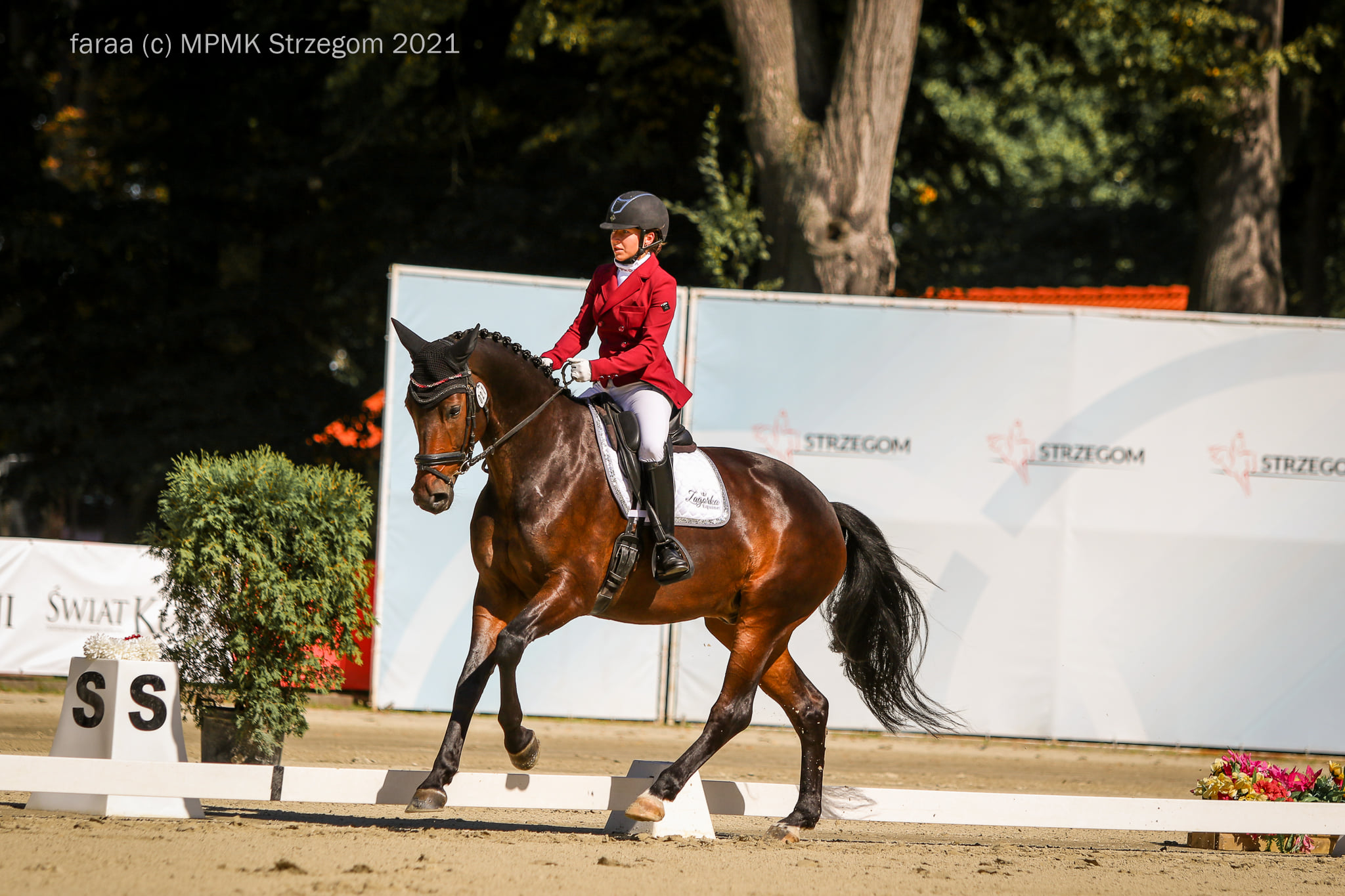 Strzegom Agata Gałęziowska Kalukin Wałach Format