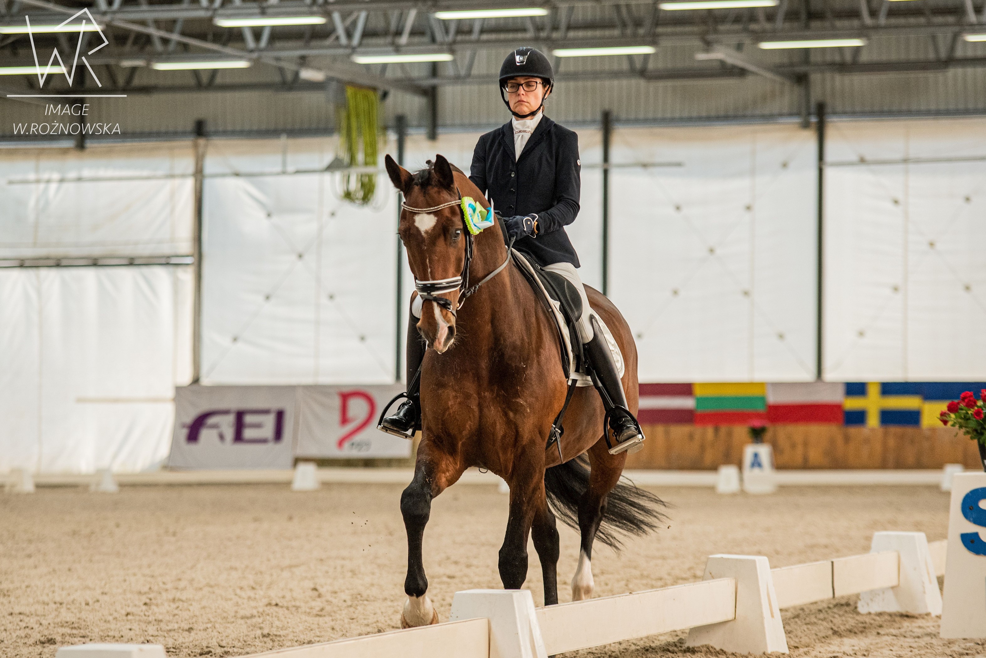 Ujeżdżeniowy weekend w Zakrzowie