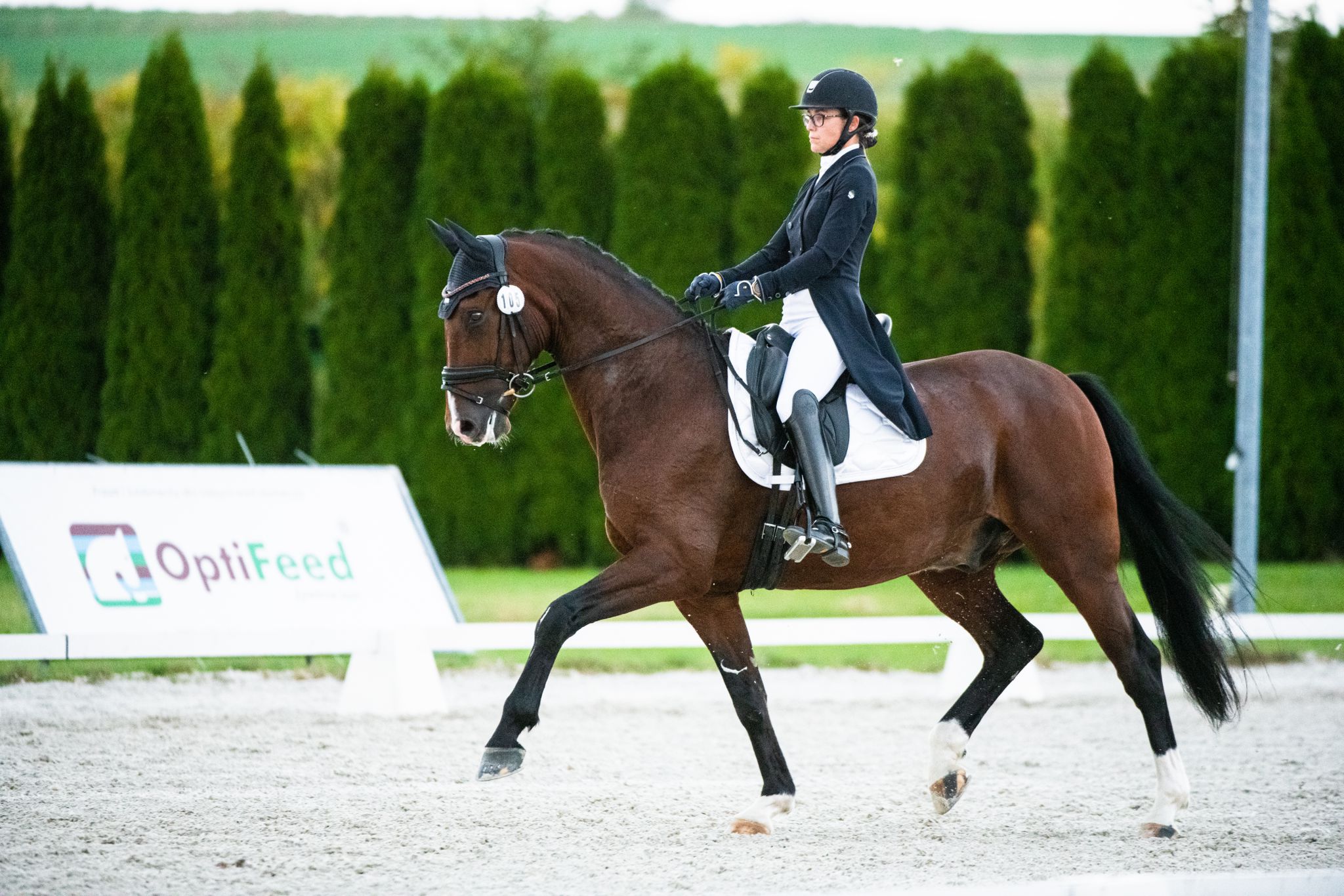 Mistrz Polski MPMK w Ujeżdżeniu