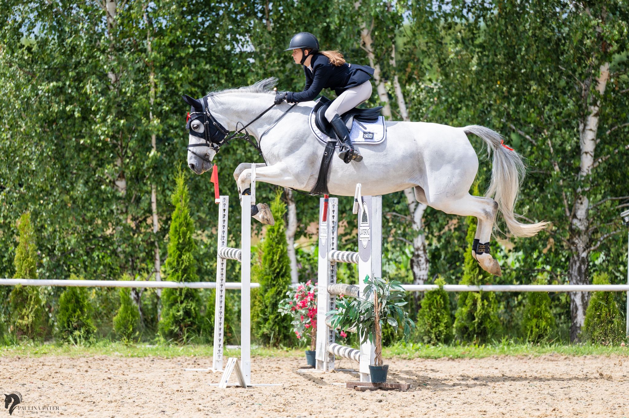 PHOTO 2024 07 05 12 20 44 (1)