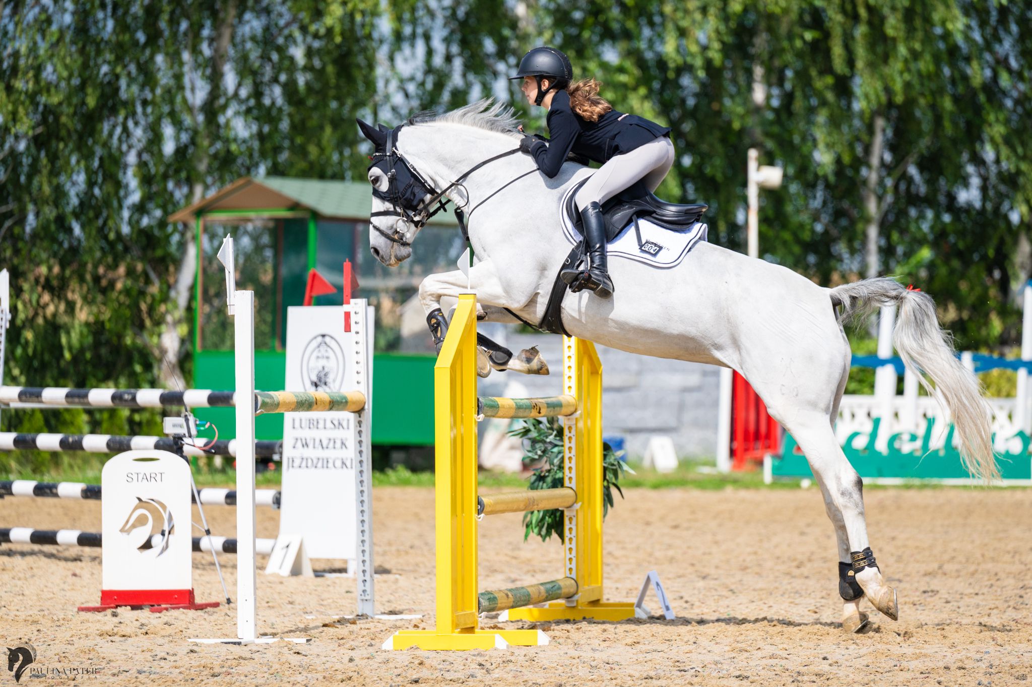 PHOTO 2024 07 05 12 20 45 (1)